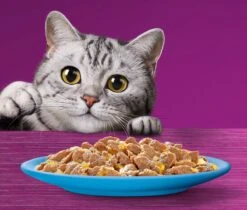 Whiskas 7+ Natvoer - Vis - Selectie In Gelei - Maaltijdzakjes 48 X 85 G -Kattenspeelgoed Winkel 1200x1019 2