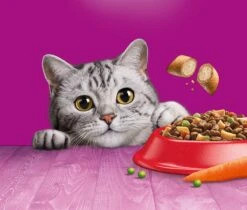 Whiskas 1+ Kattenbrokken - Rund - Doos 5 X 950 G -Kattenspeelgoed Winkel 1200x1019