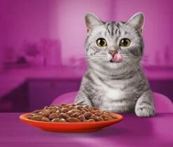 Whiskas 1+ Natvoer - Classic - Selectie In Saus - Maaltijdzakjes 40 X 85 G -Kattenspeelgoed Winkel 1200x1019 4