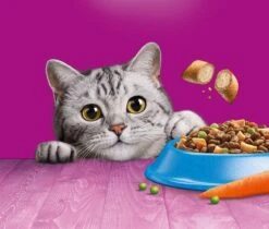 Whiskas 1+ Kattenbrokken - Tonijn - Zak 1 X 7 Kg -Kattenspeelgoed Winkel 1200x1019 5