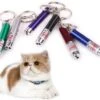 Merkloos Laser Lampje Voor Kat - Met Mini Zaklamp - Kattenlampje -Kattenspeelgoed Winkel 1200x1021 2