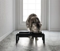 Yamazaki Eetbak - Voederbak Kat - Tweeledig - Zwart 16 Yamazaki Eetbak - Voederbak Kat - Tweeledig - Zwart -Kattenspeelgoed Winkel 1200x1025 4