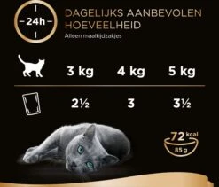 Sheba Mini Filets In Saus Kattenvoer Maaltijdzakjes Gevogelte 40 X 85 G -Kattenspeelgoed Winkel 1200x1027