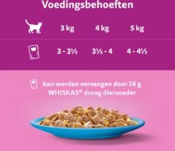 Whiskas 7+ Natvoer - Vis - Selectie In Gelei - Maaltijdzakjes 48 X 85 G -Kattenspeelgoed Winkel 1200x1030 4