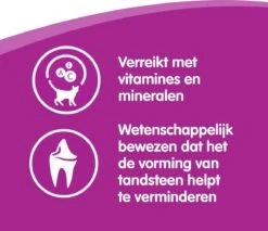 Whiskas Dentabites Kattensnoepjes - Kip - 8 X 40g -Kattenspeelgoed Winkel 1200x1033 4
