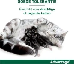 Bayer Advantage 40 Tegen Vlooien - <4kg - 4 X 0,4 Ml - Adult -Kattenspeelgoed Winkel 1200x1042 1