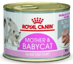 Royal Canin Wet Mother & Babycat Mousse - Kattenvoer - 195 Gr 7 Royal Canin Wet Mother & Babycat Mousse - Kattenvoer - 195 Gr -Kattenspeelgoed Winkel 1200x1048