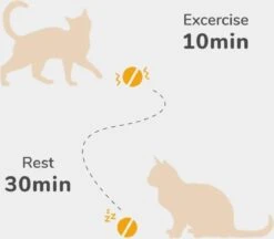 Cheerble Mini Ball 2.0 - Slimme Interactieve Zelf Rollende Bal Voor Katten - 3 Speelmodi - Kattenspeeltjes - USB Oplaadbaar - Rood -Kattenspeelgoed Winkel 1200x1051 4