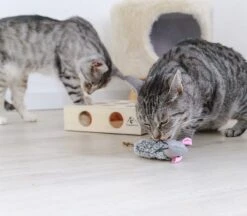 Pfotenolymp® Interactief Kattenspeelgoed / Speeldoos Met Speelballen & Speelmuis - Houten Speelgoed Voor Katten - Mollenspel / Vangspel / Jachtspel -Kattenspeelgoed Winkel 1200x1051 6