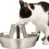 PetSafe® Seaside Stainless Steel Pet Fountain - RVS Drinkfontein Voor Katten En Kleine Honden - Water Borrelt Zacht Over De Toren - Door Het Design Van Alle Kanten Bereikbaar - 1,8 Liter - PetSafe Seaside -Kattenspeelgoed Winkel 1200x1055 3
