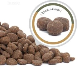 Husse Opus Lynx Graanvrij Kattenvoer - 7 Kg -Kattenspeelgoed Winkel 1200x1056