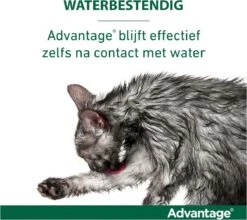 Bayer Advantage 40 Tegen Vlooien - <4kg - 4 X 0,4 Ml - Adult -Kattenspeelgoed Winkel 1200x1069 1