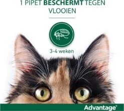 Bayer Advantage 40 Tegen Vlooien - <4kg - 4 X 0,4 Ml - Adult -Kattenspeelgoed Winkel 1200x1070 3
