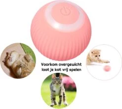 Otiume Slimme Katten Speeltje - Interactieve Zelf Rollende Bal Voor Katten - Kattenspeeltjes - USB Oplaadbaar- Turquoise -Kattenspeelgoed Winkel 1200x1072