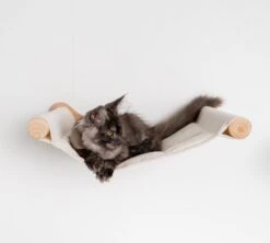RHRQuality Wandmeubel Wandmontage Klimmuur Kat 53 X 43cm Luxe Hangmat XXL Creme Klim Wand Muur Krabpaal Katten Muurbevestiging -Kattenspeelgoed Winkel 1200x1080 2