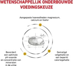Royal Canin Urinary S/O Moderate Calorie - Kattenvoer - 9 Kg -Kattenspeelgoed Winkel 1200x1089 1