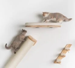 RHRQuality Wandmeubel Wandmontage Klimmuur Kat 53 X 43cm Luxe Kattenbed Creme Wand Muur Krabpaal Katten Muurbevestiging -Kattenspeelgoed Winkel 1200x1090 4