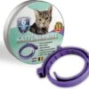 Natuurlijke Vlooienband - Katten - Paars - Zonder Giftige Pesticiden - 100% Natuurlijk - Vlooien En Teken - Milieuvriendelijk - Geur Halsband -Kattenspeelgoed Winkel 1200x1096