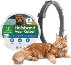 Essential Link Teken- En Vlooienband - Vlooienband Kat – Anti Vlooien – Vlooienmiddel - Tekenband - Diervriendelijk -Kattenspeelgoed Winkel 1200x1102 1