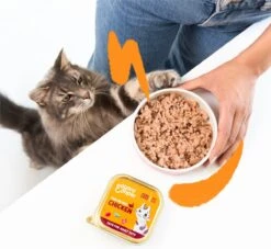 4x Edgard & Cooper Kattenvoer Adult Multipack Pate 8 X 85 Gr -Kattenspeelgoed Winkel 1200x1105 2