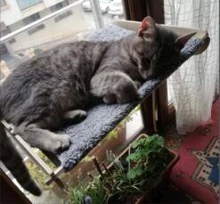 Merkloos Arnillo - Kattenhangmat - Kattenhangmat Raam - Kattenmand - Kattenbed - Kattenbed Raam - Kat Decoratie - Houten Kattenhangmat -Kattenspeelgoed Winkel 1200x1112 3