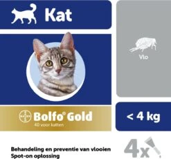 Bayer Bolfo Gold 40 Anti Vlooienmiddel - Kat - 0 Tot 4 Kg - 4 Pipetten -Kattenspeelgoed Winkel 1200x1116 2