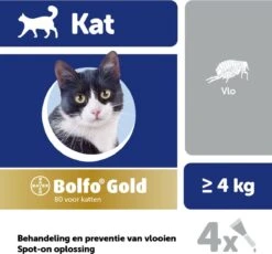 Bayer Bolfo Gold 80 Anti Vlooienmiddel - Kat - > 4 Kg - 4 Pipetten -Kattenspeelgoed Winkel 1200x1116 3