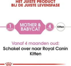 Royal Canin Mother & Babycat - Kattenvoer - 4 Kg -Kattenspeelgoed Winkel 1200x1116 6