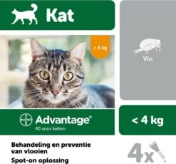 Bayer Advantage 40 Tegen Vlooien - <4kg - 4 X 0,4 Ml - Adult -Kattenspeelgoed Winkel 1200x1117 1