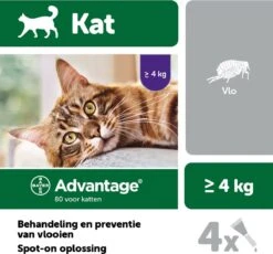 Bayer Anti Vlooienmiddel Advantage 80 > 4 Kg - 4 X 0,8 Ml -Kattenspeelgoed Winkel 1200x1117