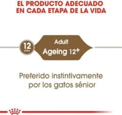 Royal Canin Wet Ageing 12+ (12X85 GR) -Kattenspeelgoed Winkel 1200x1127 1