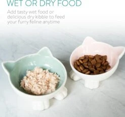 Navaris Voerbakjes Voor Katten - Set Van 2 Voer- En Waterbakken - Etensbak Van Keramiek - Met Antislip Voetjes - Kattenvorm - Roze/Groen -Kattenspeelgoed Winkel 1200x1128 1
