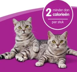 Whiskas Dentabites Kattensnoepjes - Kip - 8 X 40g -Kattenspeelgoed Winkel 1200x1129 3