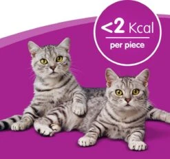 Whiskas Temptations Kattensnacks - Kip En Kaas - 8 X 60 Gr 10 Whiskas Temptations Kattensnacks - Kip En Kaas - 8 X 60 Gr -Kattenspeelgoed Winkel 1200x1129 4