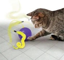 Kong Purrsuit Whirlwind 8,5X8,5X25,5 CM 11 Kong Purrsuit Whirlwind 8,5X8,5X25,5 CM -Kattenspeelgoed Winkel 1200x1132 1