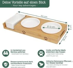 Pfotenolymp® Voederstation Met Kattengras Voor Katten - Porseleinen Kattenbak/Voedingsbak - Verhoogde Kom Set Met Kattengrasbak - Voerbak Hoog -Kattenspeelgoed Winkel 1200x1133