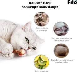 Filo Kattenspeelgoed Set 30 Stuks - Kattenspeeltje Kattentunnel - Kattenhengel - Kattenveertjes - Vis Met Kattenkruid - Kattenspeeltjes Intelligentie Kitten - Interactief Speelgoed Katten - Poezen Speeltjes -Kattenspeelgoed Winkel 1200x1133 3