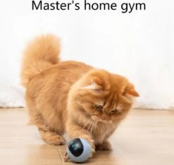 Otiume Interactieve Speelbal - Slimme Interactieve Jaag Speeltje Voor Katten - Kattenspeeltjes - Intelligente Jaagbal - AI -USB Oplaadbaar - LED - Blauw -Kattenspeelgoed Winkel 1200x1137 11
