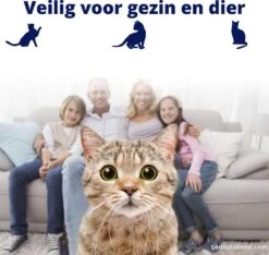 Biologische Vlooienband | Katten | Zonder Pesticiden | Vlooien En Teken | Veilig Voor Mens En Dier | Milieuvriendelijk | Kattenbandje | Geur Halsband -Kattenspeelgoed Winkel 1200x1137 2