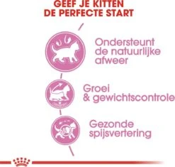 Royal Canin Kitten Sterilised - Kattenvoer - 2 Kg -Kattenspeelgoed Winkel 1200x1141 8