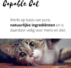 Capable Cat Vlooienband Kat | Vlooien | Luizen | Teken | Mijten | 8 Maanden Bescherming | Katten -Kattenspeelgoed Winkel 1200x1142 1