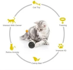 Balance Cat Toy - Katten Speelgoed - Intelligent - Draaiend Balletje Op Wielen - Balletje - Interactief Katten Speeltje - Kitten Bal -Kattenspeelgoed Winkel 1200x1143 5