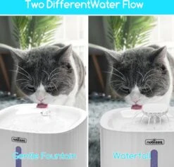 Nobleza Drinkfontein Voor Katten 16 Nobleza Drinkfontein Voor Katten -Kattenspeelgoed Winkel 1200x1145 4