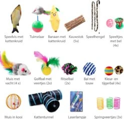 Filo Kattenspeelgoed Set 30 Stuks - Kattenspeeltje Kattentunnel - Kattenhengel - Kattenveertjes - Vis Met Kattenkruid - Kattenspeeltjes Intelligentie Kitten - Interactief Speelgoed Katten - Poezen Speeltjes -Kattenspeelgoed Winkel 1200x1145 6