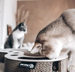 Interactief Design Krabspeelgoed Voor Katten Van Duurzaam Karton - District 70 SNAKE - Zwart -Kattenspeelgoed Winkel 1200x1146 1