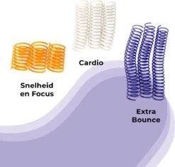 Pettadore Springs - Kattenveertjes - Kattenspeelgoed - Kattenspeeltjes - 9 Stuks -Kattenspeelgoed Winkel 1200x1147 4