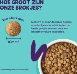 Edgard & Cooper Kattenvoer Adult Zalm 4 Kg -Kattenspeelgoed Winkel 1200x1149 1