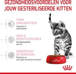 Royal Canin Kitten Sterilised - Kattenvoer - 3,5 Kg -Kattenspeelgoed Winkel 1200x1159 1