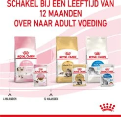Royal Canin Wet Kitten (12X85 GR) -Kattenspeelgoed Winkel 1200x1159 15
