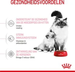 Royal Canin Mother & Babycat - Kattenvoer - 4 Kg -Kattenspeelgoed Winkel 1200x1159 18
